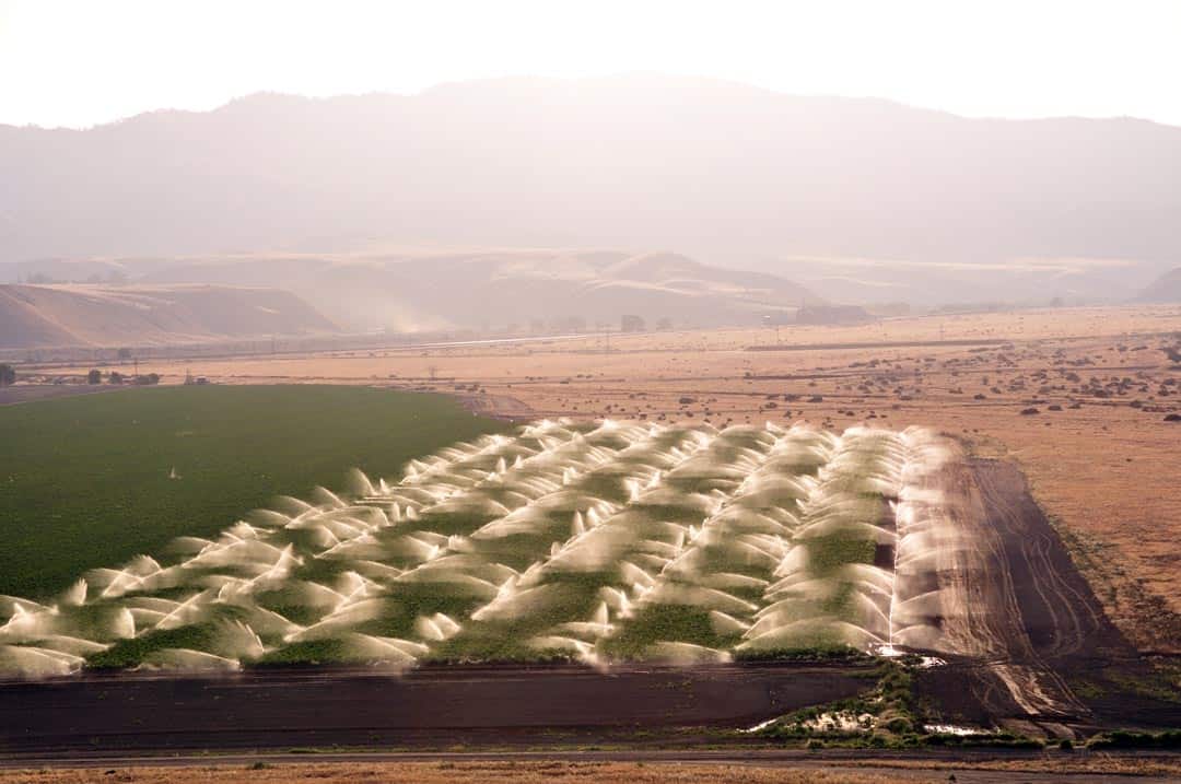 Watering crop