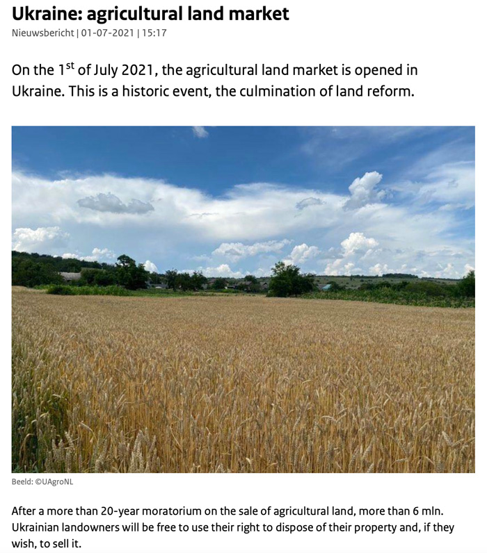 Ukraine's agricultural land market