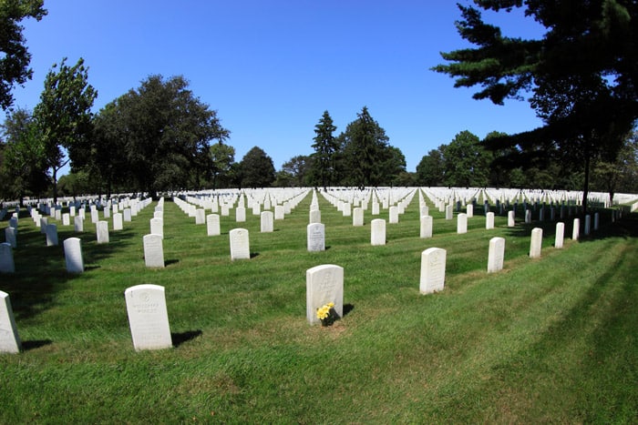 The Pinelawn Cemetery