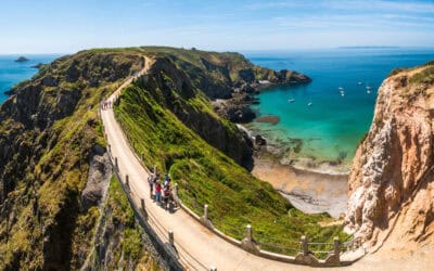 Sark bid – decision time