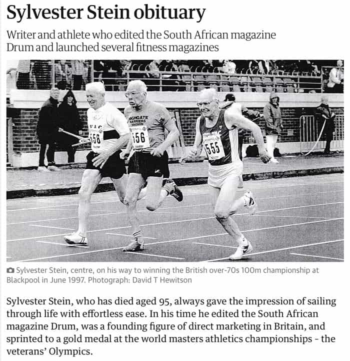 Sylvester Stein