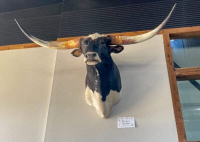 Texas reader trip 2025