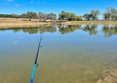 Texas reader trip 2025