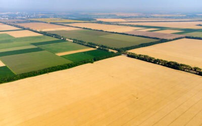Ukrainian agriculture stocks – the world’s ultimate land bargain?